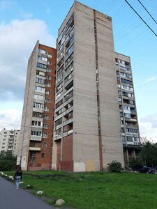 Kollontay Street, 9, Saint Petersburg: photo