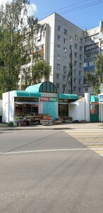 Нижний Новгород, Артельная улица, 5В: фото