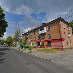 Vulytsia Hoholia, 13, : foto