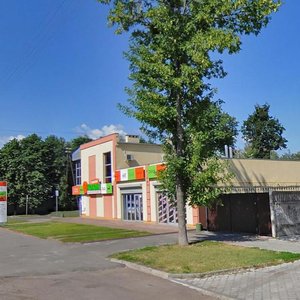 Sviatotroitska vulytsia, 102, Cherkasy: photo