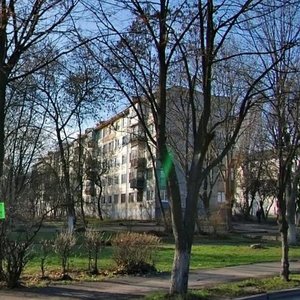 Stetsenka Street, 11, Kyiv: photo