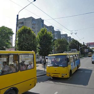Vulytsia Volodymyra Velykoho, 61, Lviv: photo