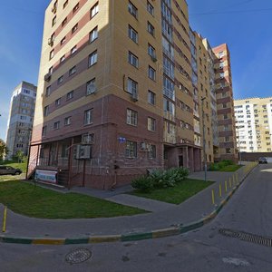 Нижний Новгород, Улица Бориса Панина, 5к3: фото