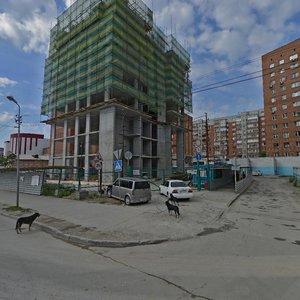 Новосибирск, Улица Семьи Шамшиных, 65: фото