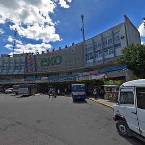 Stryiska vulytsia, 109, Lviv: photo