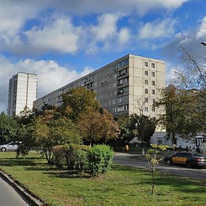 Marshala Rokosovskoho Avenue, 4, Kyiv: photo