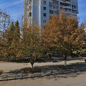 Sadova vulytsia, 9, Mykolaiv: photo