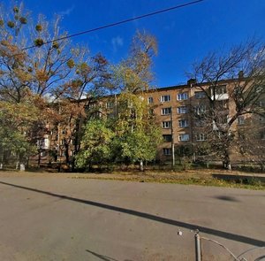 Oleksandra Dovzhenka Street, 8, : foto