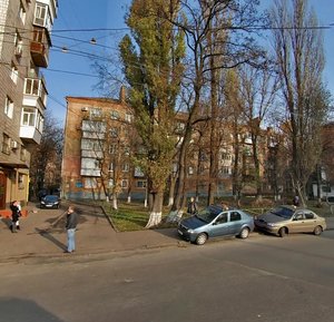 Lesi Ukrainky Boulevard, 13 ، كييف: صورة