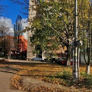 Oleksandra Dovzhenka Street, 16, Kyiv: photo