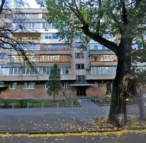 Shovkovychna Street, 29, Kyiv: photo