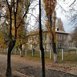 Adama Mitskevycha Street, 7, Kyiv: photo