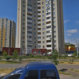 Yelyzavety Chavdar Street, 6, Kyiv: photo