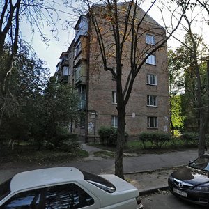 Saliutna Street, 22, Kyiv: photo