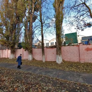 Oleksy Tykhoho Street, 86, Kyiv: photo