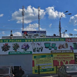 Tsentralna Street, 12, Kyiv: photo