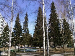 Ivanova Street, 27, Novosibirsk: photo