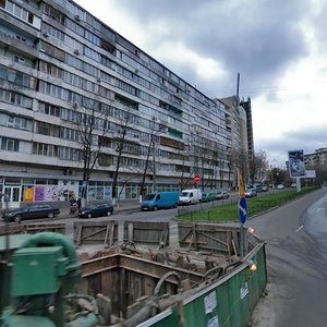 Bohdana Havrylyshyna Street, 6, Kyiv: photo