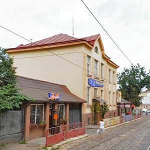 Haidamatska vulytsia, 11, Lviv: photo