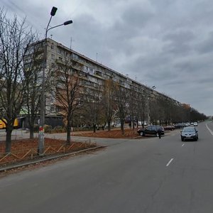 Romena Rollana Boulevard, 13, Kyiv: photo