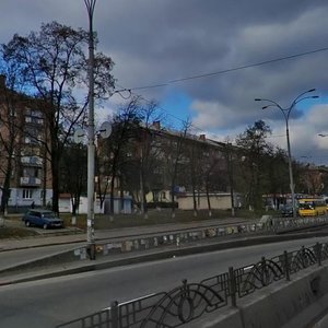 Oleny Telihy Street, 17 ، كييف: صورة