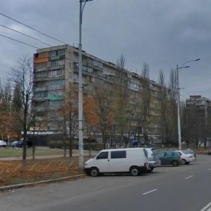 Romena Rollana Boulevard, 3, Kyiv: photo