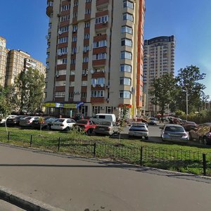 Киев, Улица Феодоры Пушиной, 19: фото