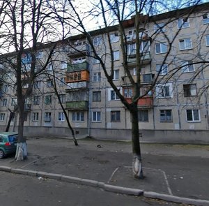 Mykoly Vasylenka Street, 8, : foto