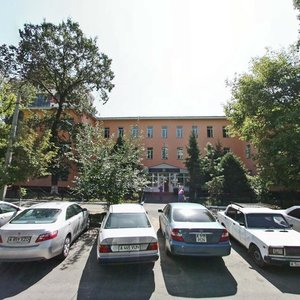 Zhibek Zholy Avenue, 128, Almaty: photo