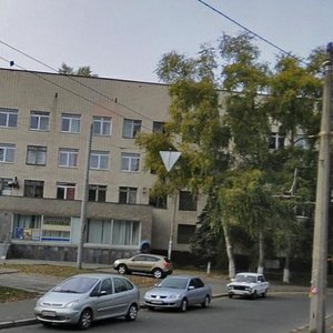 Ryzka Street, 1к2, Kyiv: photo