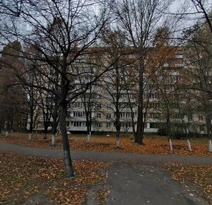 Vasylia Kasiiana Street, 2, Kyiv: photo