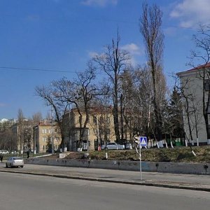 Vasylkivska Street, 35, Kyiv: photo