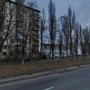 Ivana Vyhovskoho Street, 16, Kyiv: photo