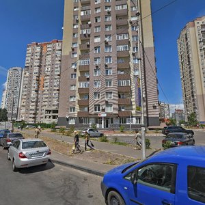 Mykoly Lavrukhina Street, 6, Kyiv: photo