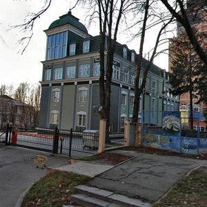 Vasylia Tiutiunnyka Street, 28Б, Kyiv: photo