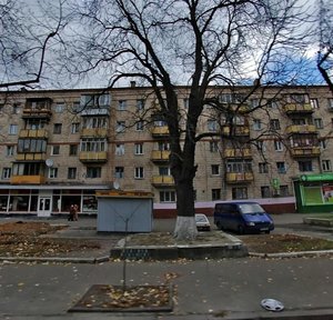 Vyshhorodska Street, 44, Kyiv: photo