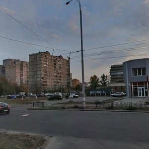 Heroiv Dnipra Street, 2А, Kyiv: photo