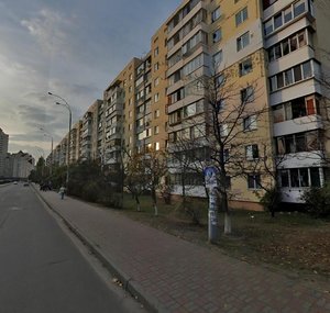 Heroiv Stalinhrada Avenue, 26, Kyiv: photo