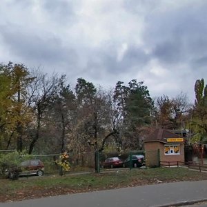 Brovarskyi Avenue, 31/33 ، كييف: صورة