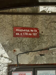 Plakhotnogo Street, 33 ، نوفوسيبيرسك: صورة