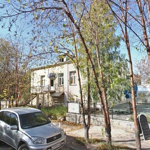Krasnokazachya Street, 119А ، إيركوتسك: صورة