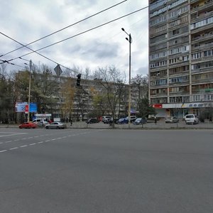 Mytropolyta Vasylia Lypkivskoho Street, 15 ، كييف: صورة