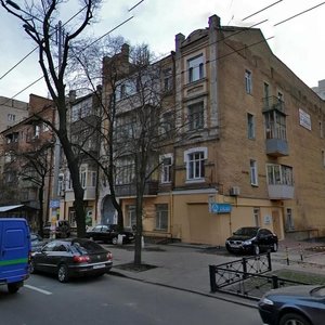 Zhylianska Street, 55, Kyiv: photo