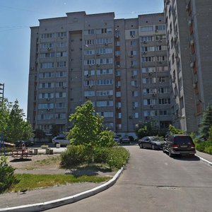 Mandrykivska Street, 338, Dnipro: photo