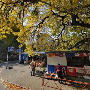 Kopylivska Street, 4, : foto