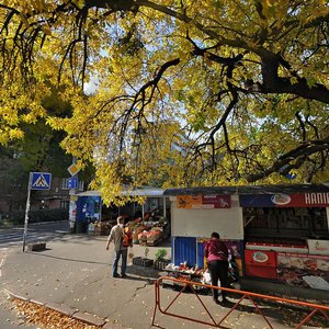 Kopylivska Street, 4, Kyiv: photo