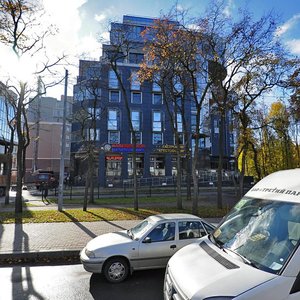 Ryuhina Street, 10, Saint Petersburg: photo