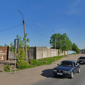 Polevaya Sabirovskaya Street, 49, Saint Petersburg: photo