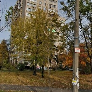 Ovanesa Tumaniana Street, 8, Kyiv: photo