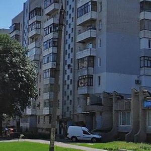 Vulytsia Hoholia, 458, Cherkasy: photo